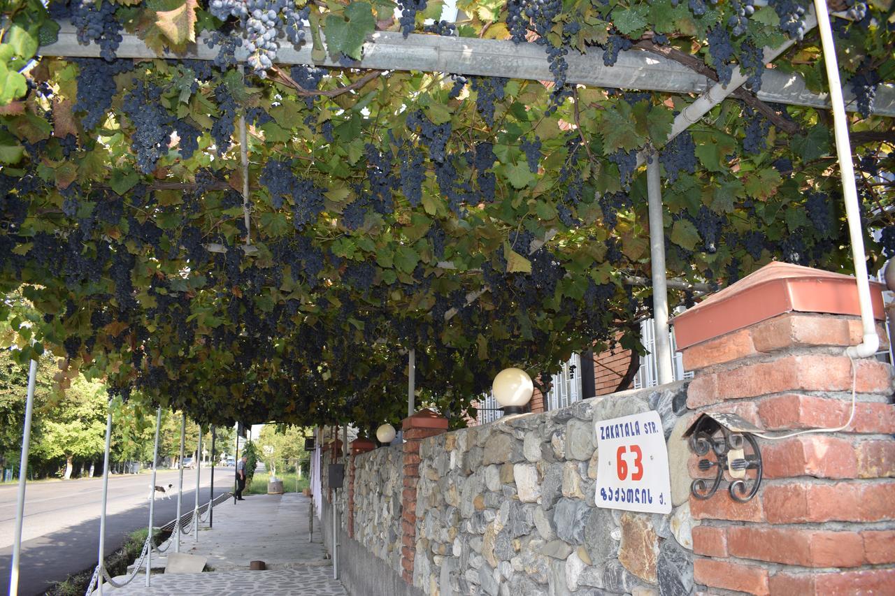 Family Hotel Lago & Wine Cellar Lagodechi Exteriér fotografie